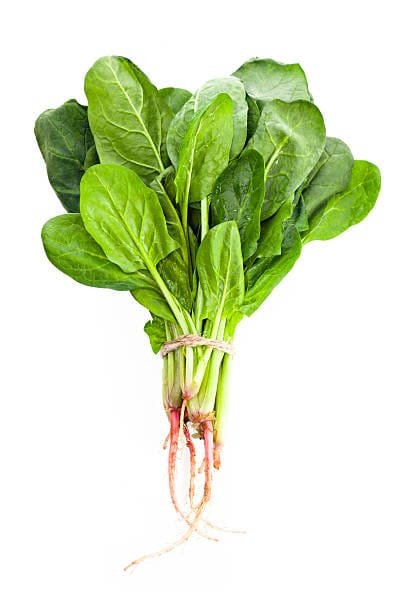 Spinach